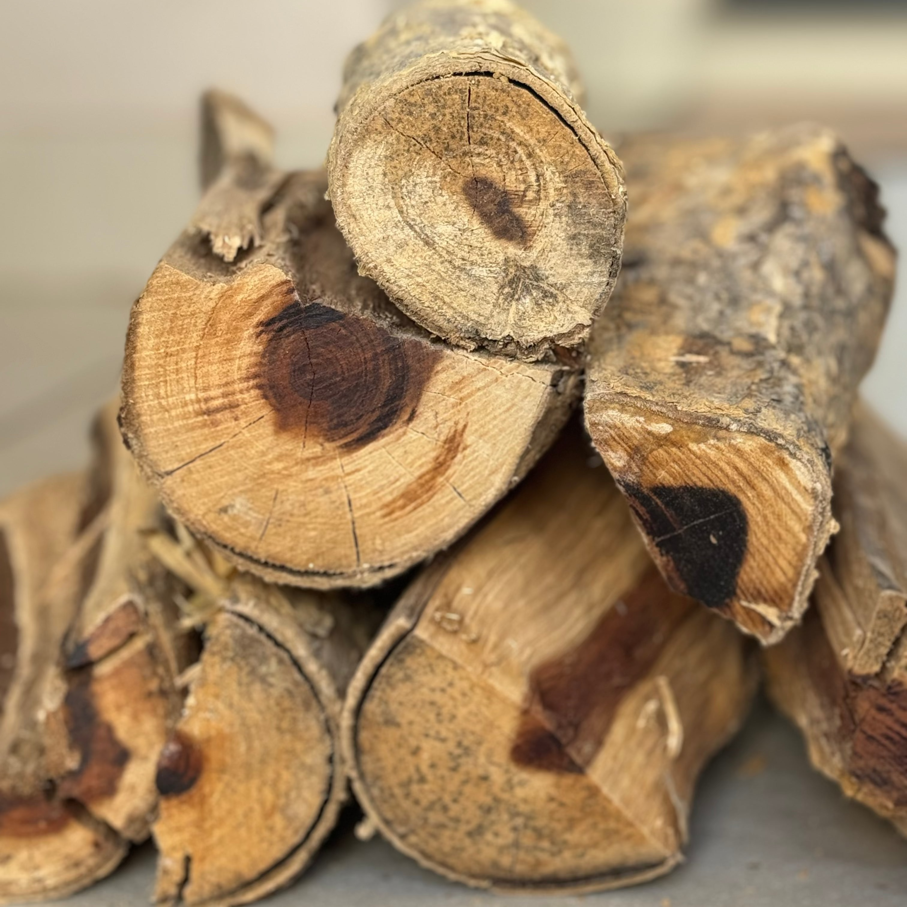 20kg Bushveld Thornwood