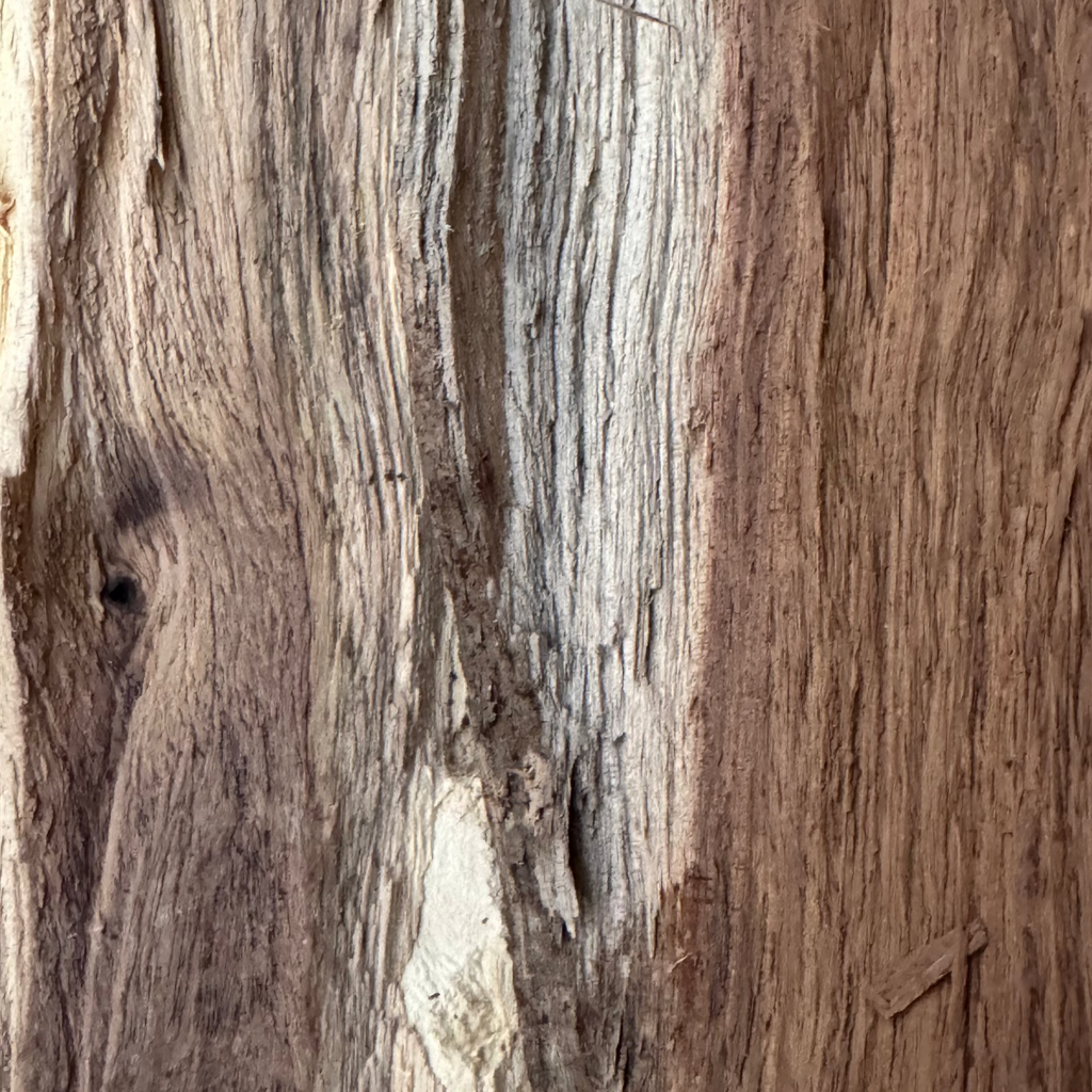 9kg Lowveld Hardwood